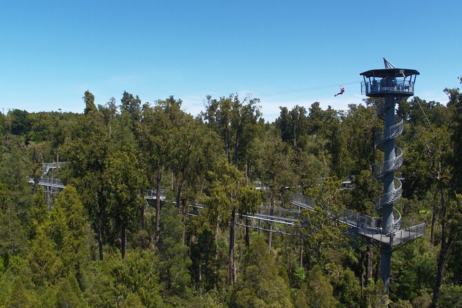 West Coast Tower Zipline & Treetop Walk Combo - Practical details for planning your visit