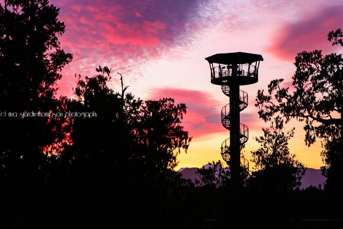 West Coast Treetop Walk - Rimu, kamahi, and the self-guided route