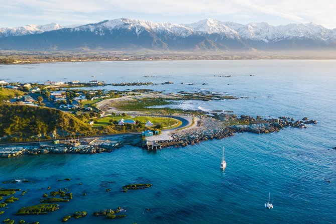 Whale Watching in Kaikoura by Boat - Commentary that adds more than animal names