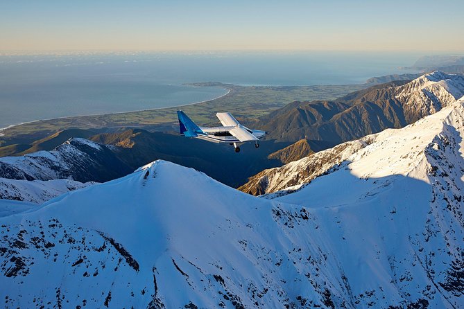 Whale Watching in Kaikoura - Ultimate Experience - Key points before you book