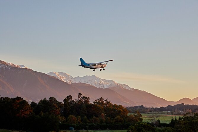 Whale Watching in Kaikoura - Ultimate Experience - Dolphins and migratory whales add variety