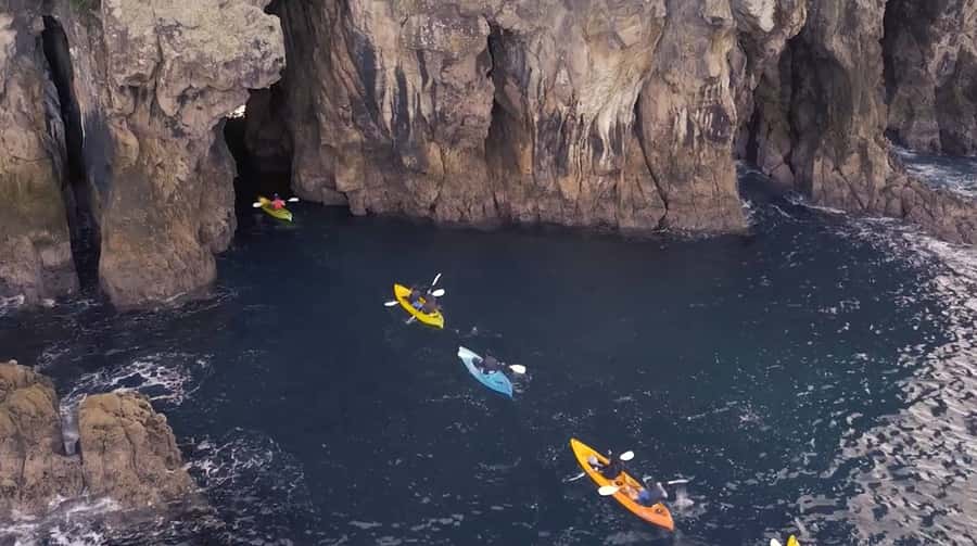 Whangamata: Donut Island Guided Kayaking Experience - Key points at a glance