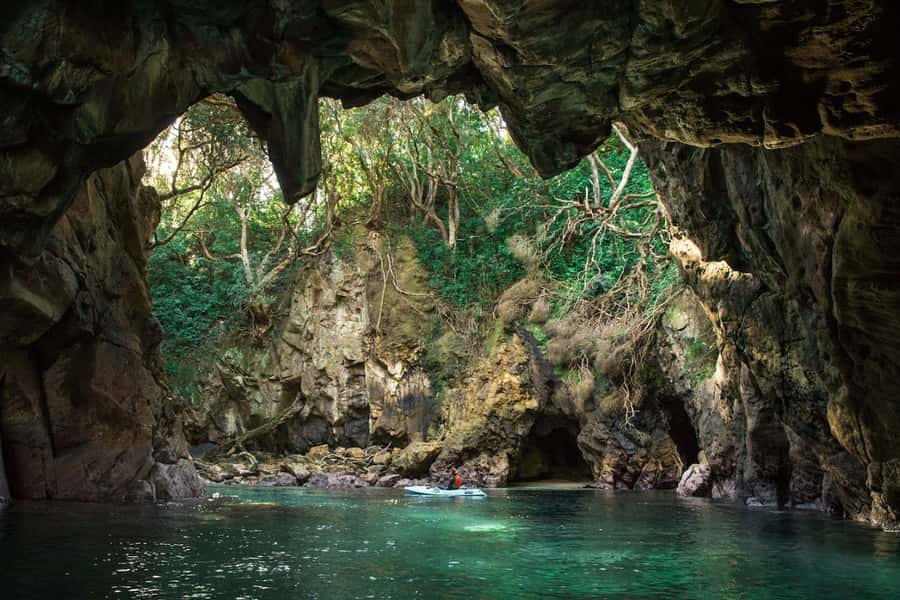Whangamata: Donut Island Guided Kayaking Experience - Why Donut Island is worth the paddle