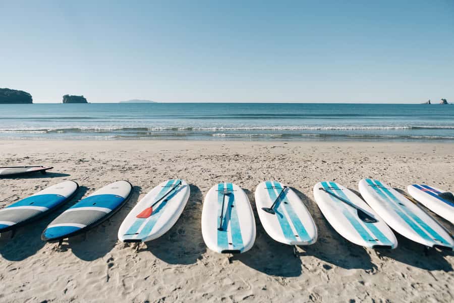 Whangamata: Donut Island Guided Kayaking Experience - The extra island and kawakawa tea
