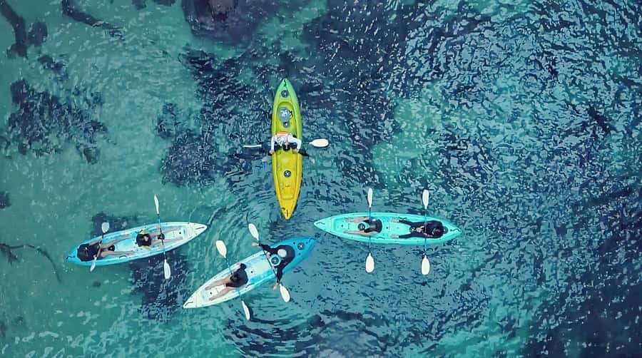 Whangamata: Donut Island Guided Kayaking Experience - From Whangamata Beach to the island entrance