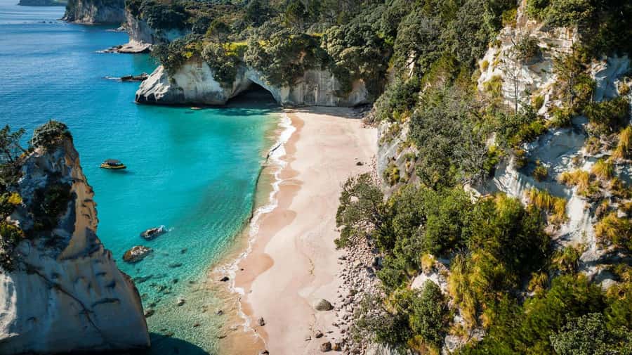 Whitianga: 2-Hour Cathedral Cove and Volcanic Coast Cruise - Who will enjoy this cruise most?