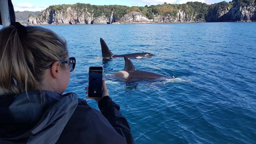 Whitianga: 2-Hour Cathedral Cove and Volcanic Coast Cruise - Why seeing Cathedral Cove from the sea makes sense