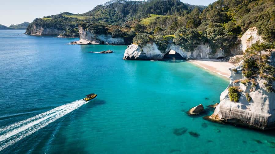 Whitianga: 2-Hour Cathedral Cove and Volcanic Coast Cruise - Volcanic cliffs, pinnacles, and sea caves
