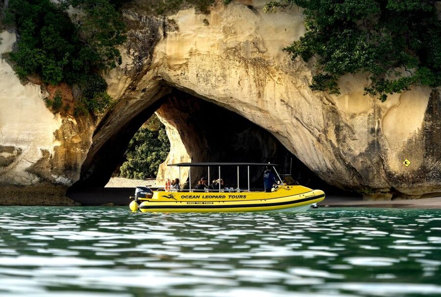 Whitianga: 2-Hour Cathedral Cove and Volcanic Coast Cruise - Cathedral Cove and Te Whanganui a Hei Marine Reserve
