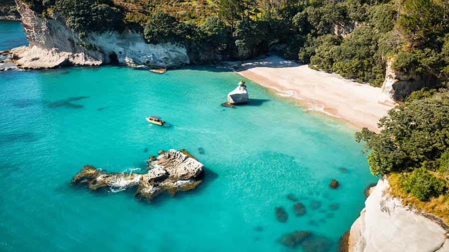 Whitianga: 2-Hour Cathedral Cove and Volcanic Coast Cruise - Wildlife sightings are a bonus, not the plan