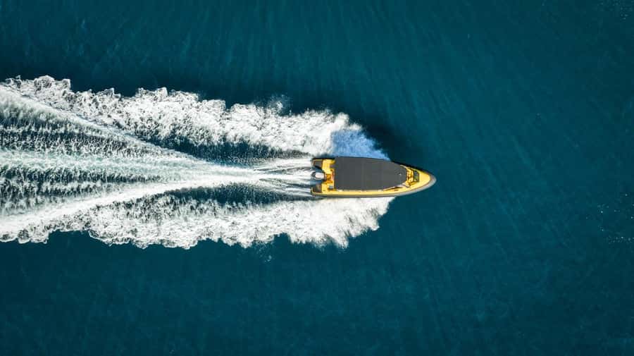 Whitianga: 2-Hour Cathedral Cove and Volcanic Coast Cruise - The guide can shape the whole two hours