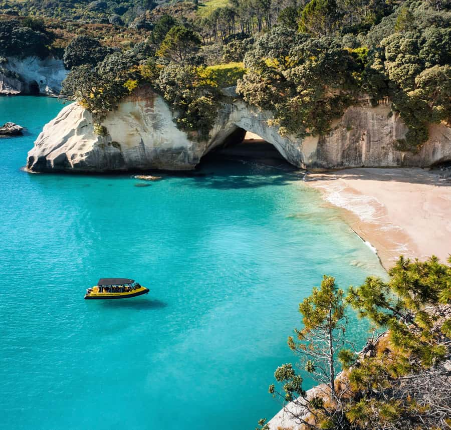 Whitianga: 2-Hour Cathedral Cove and Volcanic Coast Cruise - Is $83 a fair price?