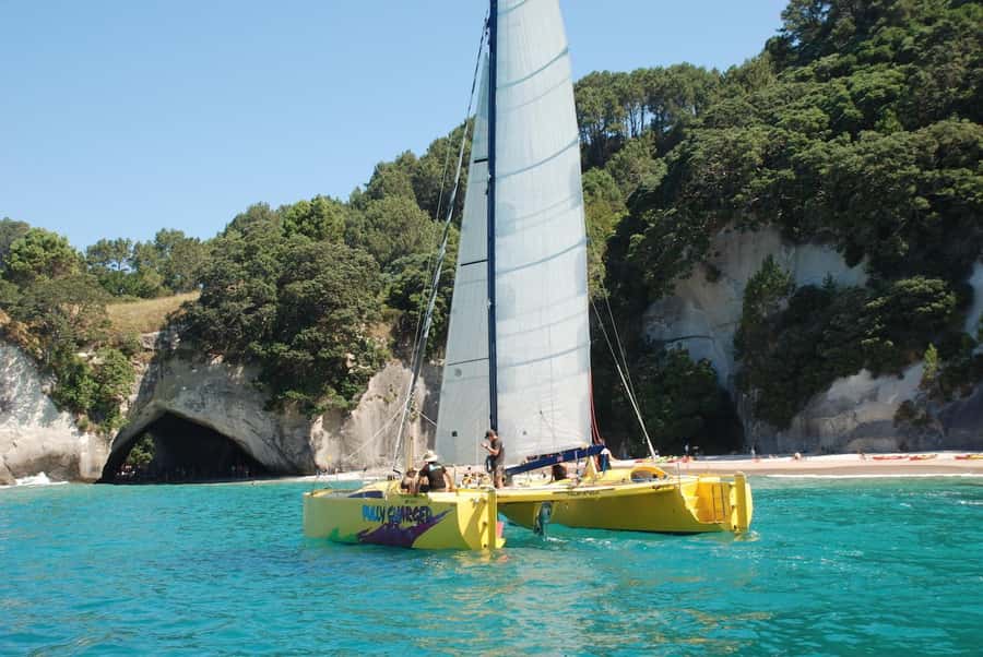 Whitianga: Sailing Trip to Cathedral Cove - Key details before you book