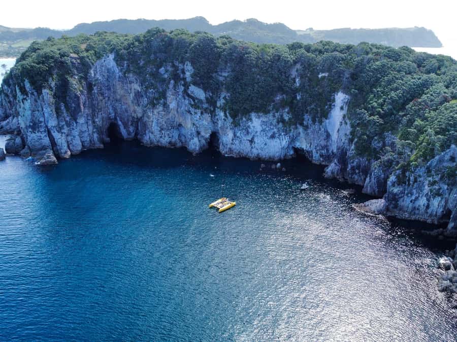 Whitianga: Sailing Trip to Cathedral Cove - Morning coffee or afternoon wine and fruit