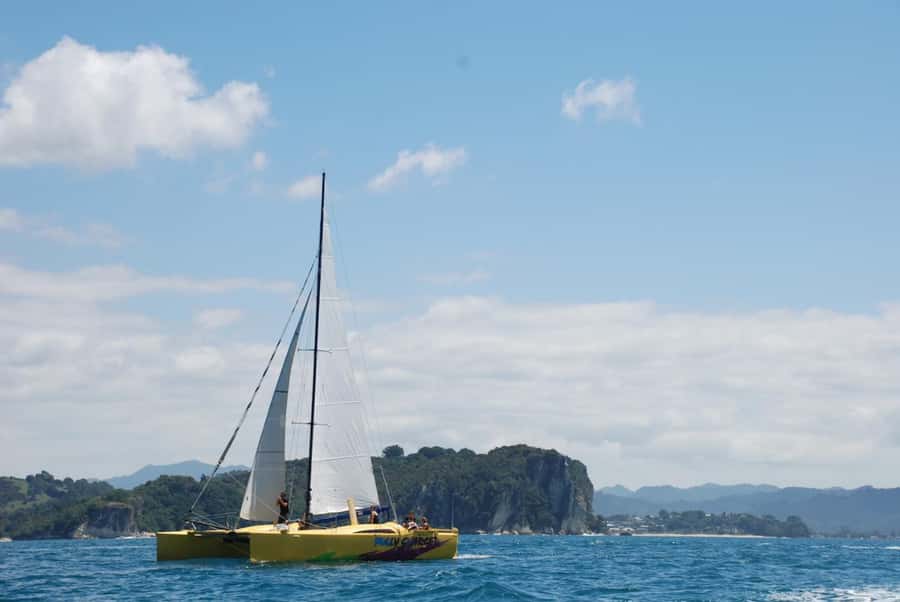Whitianga: Sailing Trip to Cathedral Cove - Is $86 good value?