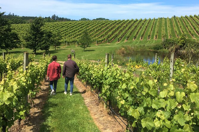Wine Exposed Nelson Winery Tour - A small-group route through Nelson wine country