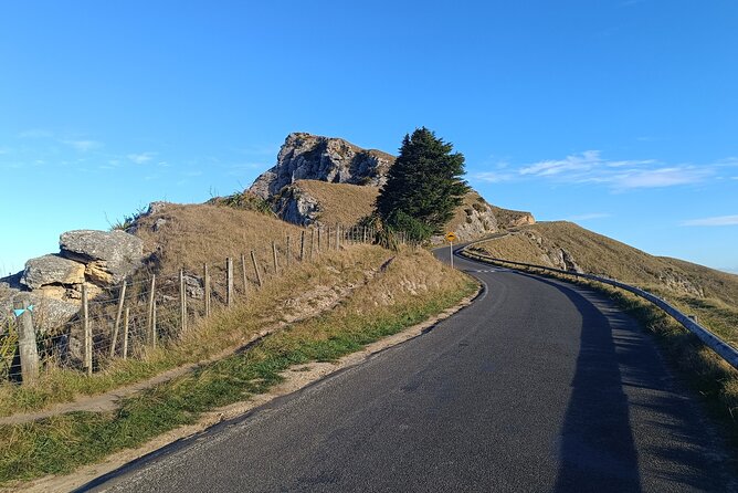 Wine & Sightseeing Cruise Tour 2.5hr | Award Winning Experience - The vehicle and small group make a real difference