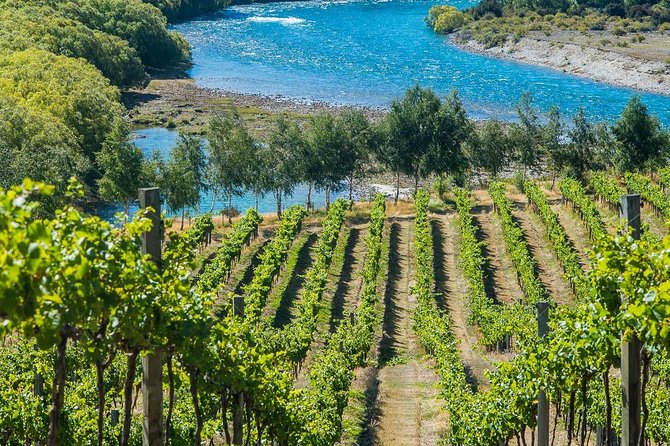 Wine Tour with Wine Tasting from Wanaka - Who will enjoy this tour most