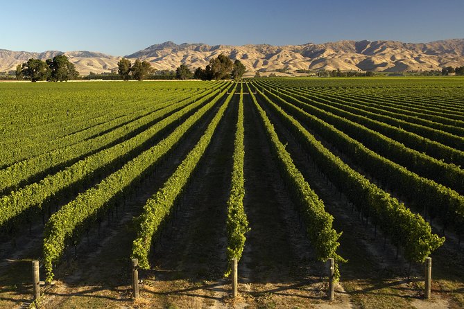 Wine trail and Christchurch City - Luxury, Small Group Tour - Port Hills and the view over Lyttelton
