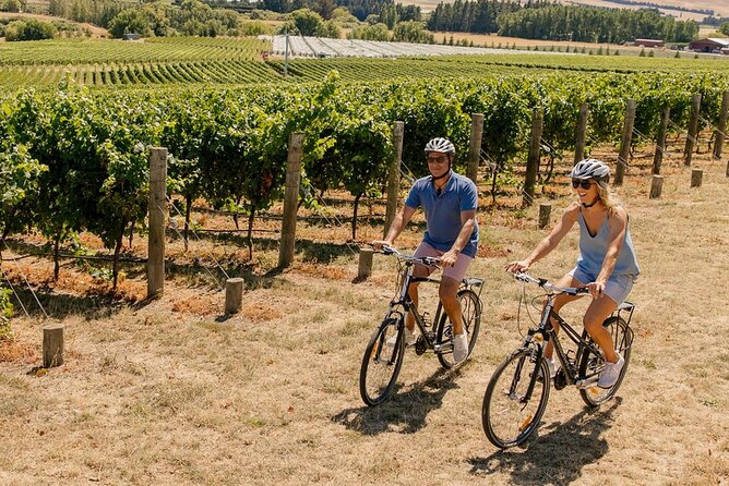 Wine trail and Christchurch City - Luxury, Small Group Tour - Price, group size, and practical value