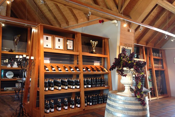 Wine trail and Christchurch City - Luxury, Small Group Tour - What the boutique vineyard visits feel like