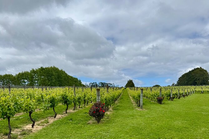 Wineries / Brewery - What the private transport adds
