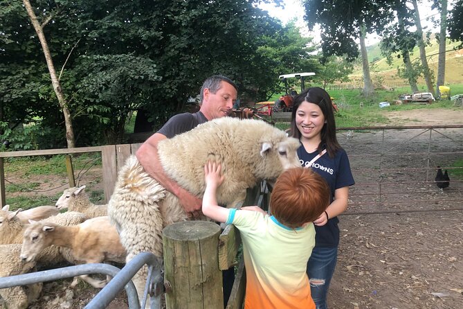 Wool Sheep Farm Experience with Handmade Wool Hat in New Zealand - Key points to know before booking
