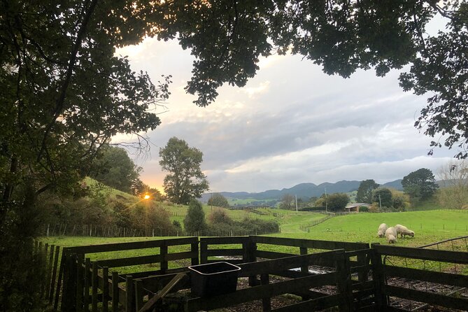 Wool Sheep Farm Experience with Handmade Wool Hat in New Zealand - Choosing a handmade hat to take home