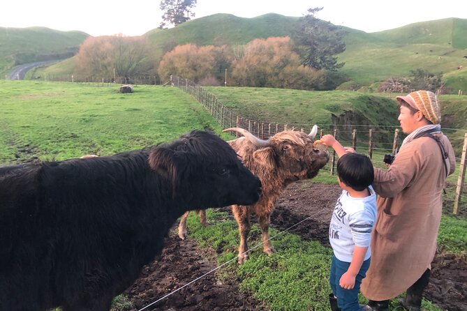 Wool Sheep Farm Experience with Handmade Wool Hat in New Zealand - Weather, timing, and practical planning