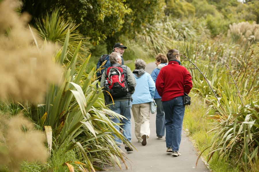 Zealandia by Day Tour - Key points to know before you book