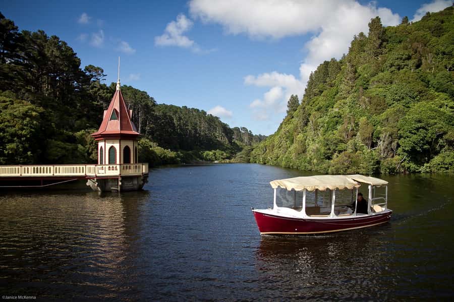 Zealandia by Day Tour - Searching for tuatara among the native habitat