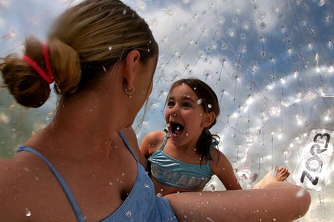 Zorb Inflatable Ball Ride from Mount Ngongotaha in New Zealand - Should you book the Rotorua ZORB ride?